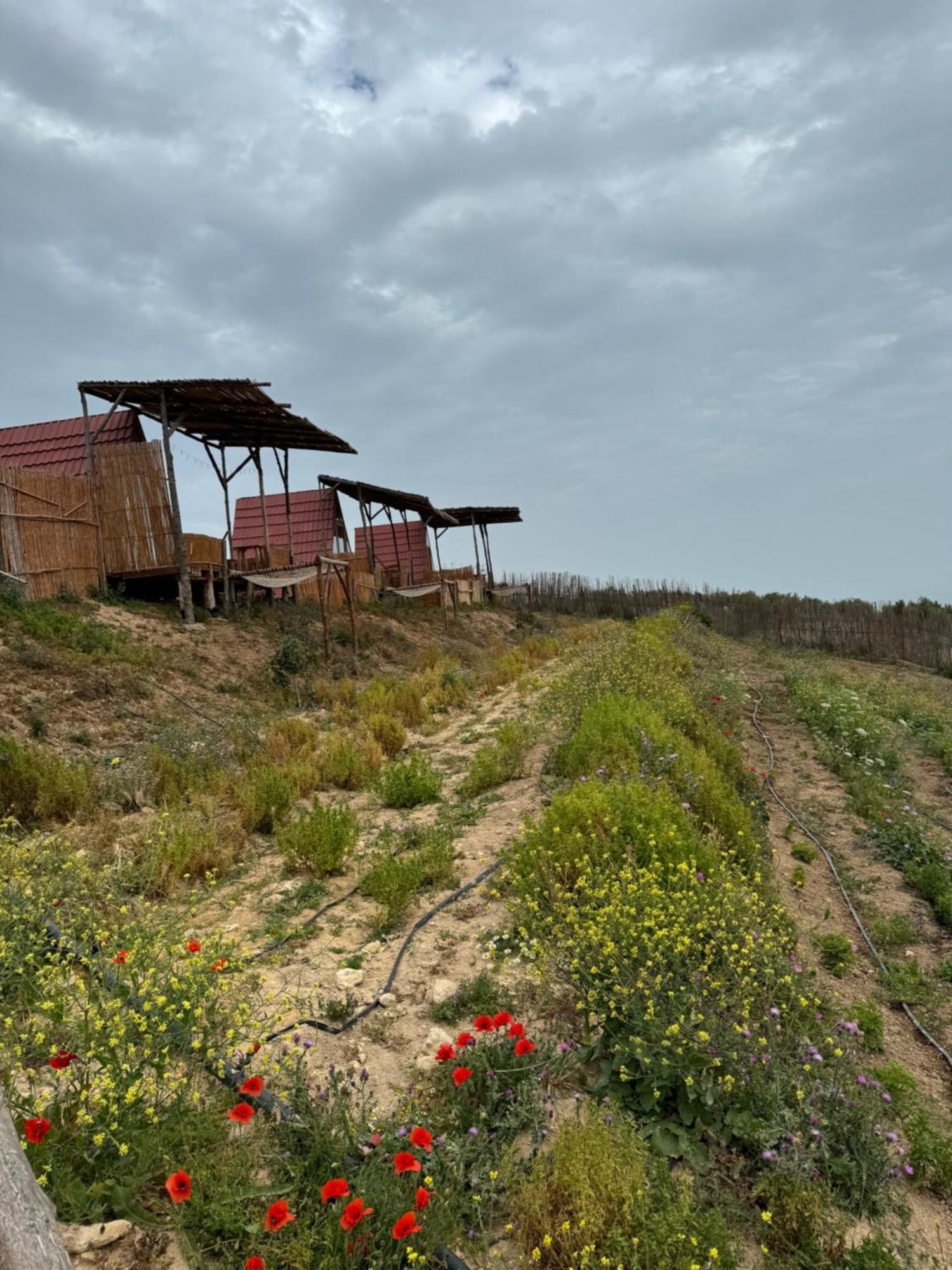 Hotel Ghar El Melh Outdoors Ra's al Jabal Exterior foto